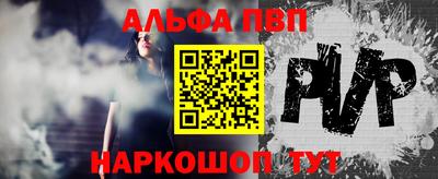 спиды Кингисепп