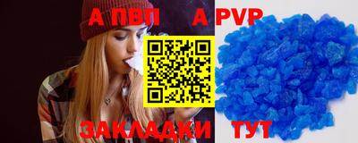 спиды Кингисепп