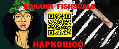 спиды Кингисепп
