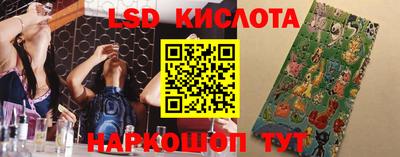 спиды Кингисепп