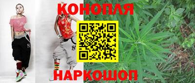 спиды Кингисепп