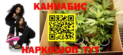 спиды Кингисепп