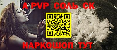 спиды Кингисепп