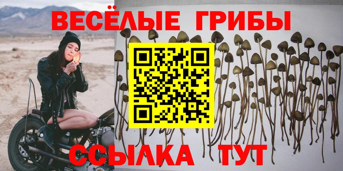 Псилоцибиновые грибы GOLDEN TEACHER  Вход с VPN  Краснокаменск 